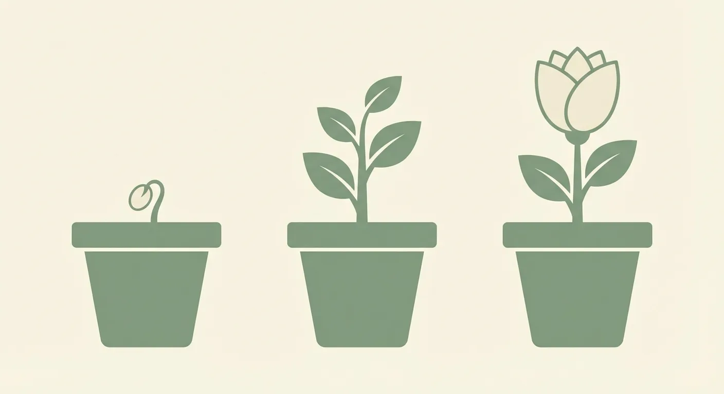 Three plant pots showing progressive growth stages from seedling to flowering plant